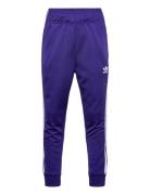 Adidas Originals Sst Track Pants Lila