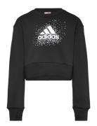 Adidas Sportswear Jg Glm Crew Svart