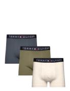 Tommy Hilfiger 3P Trunk Grön