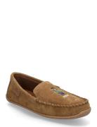 Polo Ralph Lauren Brenan Polo Bear Suede Slipper Brun