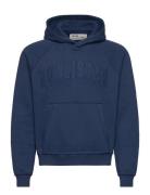 Hollister Hco. Guys Sweatshirts Blå