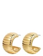 LUV AJ Remy Ridged Hoops- Gold Guld