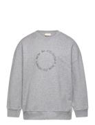 Petit Piao Sweat Shirt Haw Grå