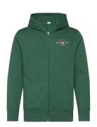 GANT Graphic Fullzip Hoodie Grön