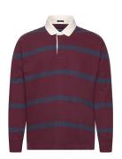 Abercrombie & Fitch Anf Mens Knits Burgundy