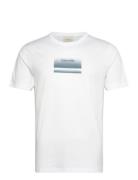 Calvin Klein Gradient Logo T-Shirt Vit