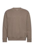 Calvin Klein L/S Sweatshirt Brun