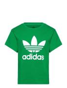 Adidas Originals Trefoil Tee Grön