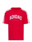 Adidas Sportswear J C Colleg Tee Röd