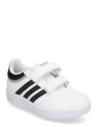 Adidas Sportswear Hoops 4.0 Cf C Vit