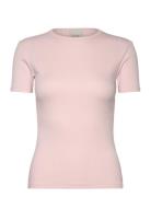 Calvin Klein Modal Rib Slim Ss Top Rosa