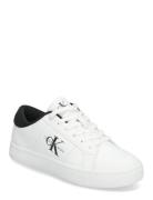 Calvin Klein Classic Cupsole Lowlaceup Lth Wn Vit