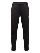 PUMA Individualliga Training Pants Jr Svart