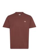 Dickies Ss Mapleton Tee Brun