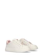 Calvin Klein Low Toppar Lace-Up Sneaker Rosa