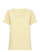 Cream Crnaia Deep V-Neck T-Shirt Gul