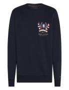 Tommy Hilfiger Hilfiger Color Crest Sweatshirt Marinblå