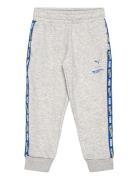 PUMA Puma X Hot Wheels Sweatpants Tr Grå