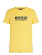 Tommy Hilfiger Colour To Colour Graphic Tee Gul