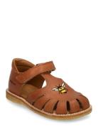 ANGULUS Sandals - Flat - Closed Toe Brun