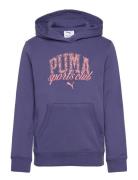 PUMA Puma Class Hoodie Tr G Blå