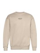 HALO Halo Graphic Crew 02 Beige