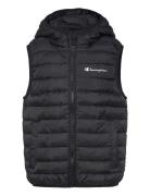 Champion Hooded Vest Svart