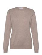 Davida Cashmere Man O-Neck Plain Beige