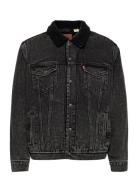 Levi's® Type 3 Sherpa Trucker Roadster Grå