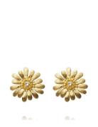 Caroline Svedbom Daisy Earrings Gold Guld