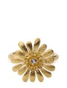 Caroline Svedbom Daisy Ring Gold Guld