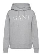 GANT Tonal Graphic Hoodie Grå