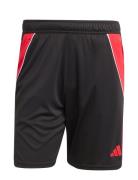 Adidas Performance Tiro24 Trsho Svart