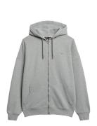 Superdry Studios Zip Hoodie Grå