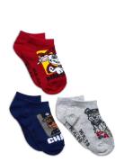 Paw Patrol Socks Multi/patterned